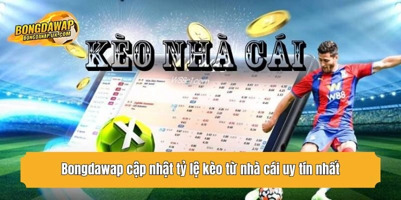 Bongdawap cập nhật tỷ lệ kèo từ nhà cái uy tín nhất