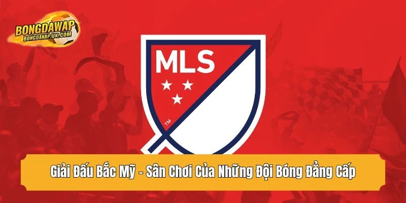 giải đấu bắc mỹ