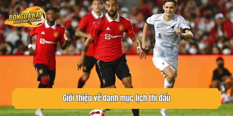 Giới thiệu về danh mục lịch thi đấu