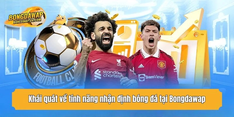 Khái quát về tính năng nhận định bóng đá tại Bongdawap
