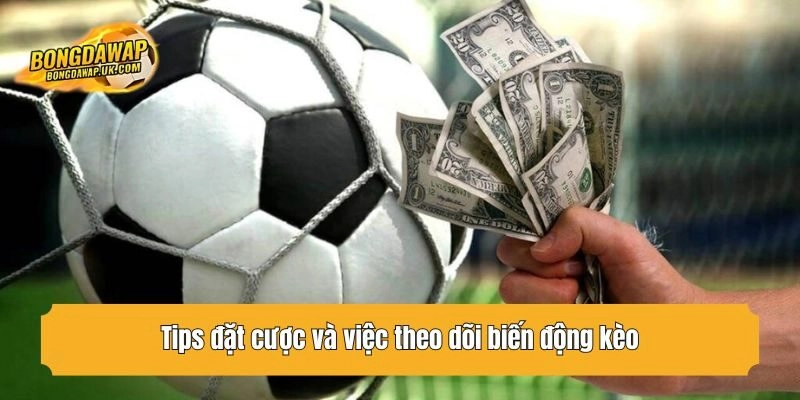 Tips đặt cược và việc theo dõi biến động kèo