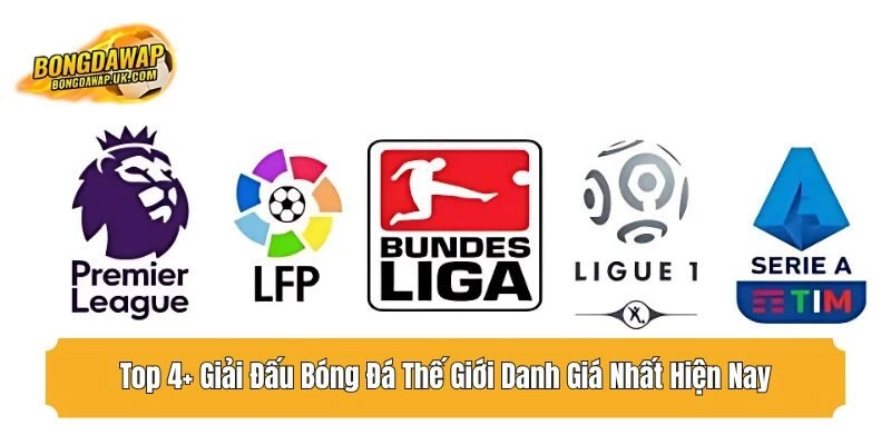 top giải đấu bóng đá thế giới