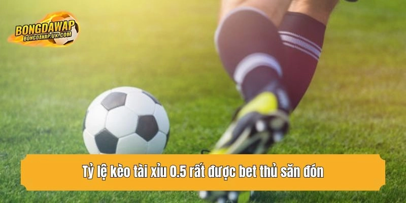 Tỷ lệ kèo tài xỉu 0.5 rất được bet thủ săn đón